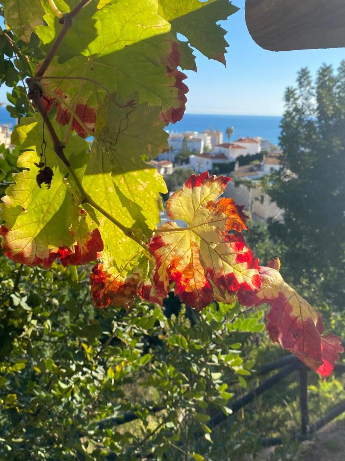 Boutique Hotel Las Islas (Adults Only) Fuengirola Luaran gambar